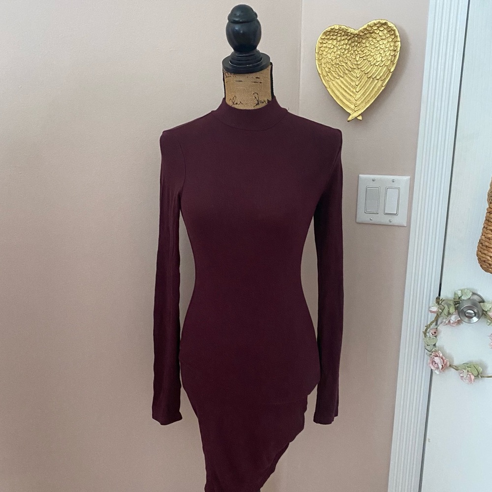 Wine Long Sleeved Body Knit Bodycon Tunic
